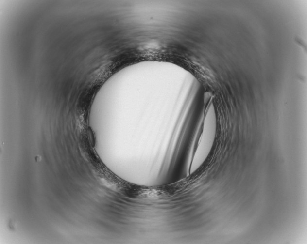 X0000094930611200712201054
