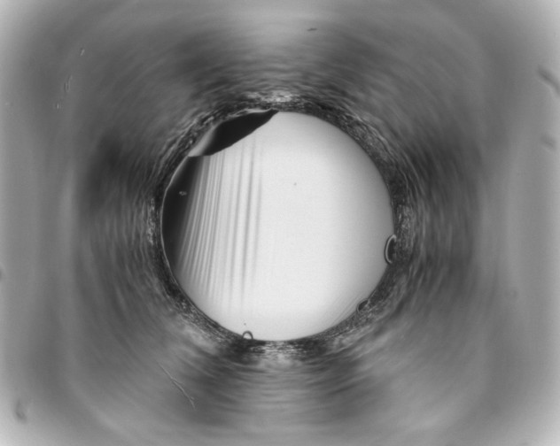 X0000094930612200712201054