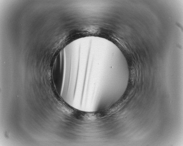 X0000094930613200712201054