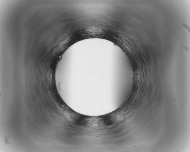 X0000094930615200712201054