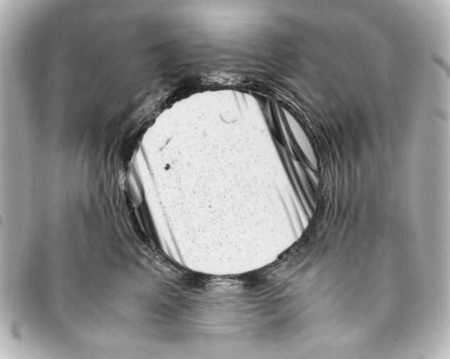 X0000094930617200712201054