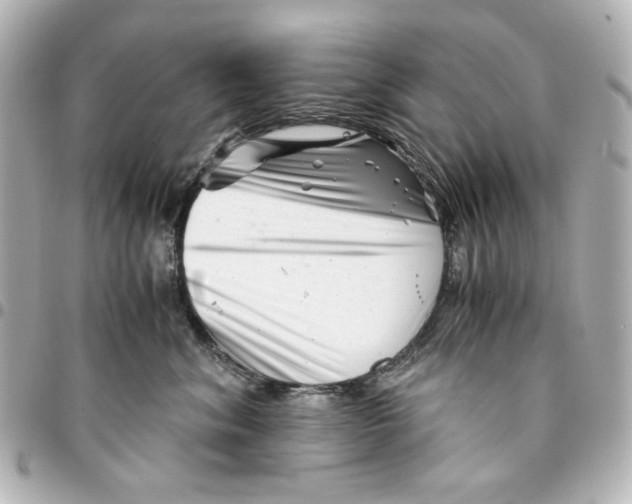 X0000094930620200712201054