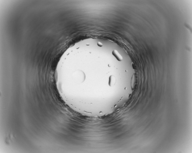 X0000094930621200712201054