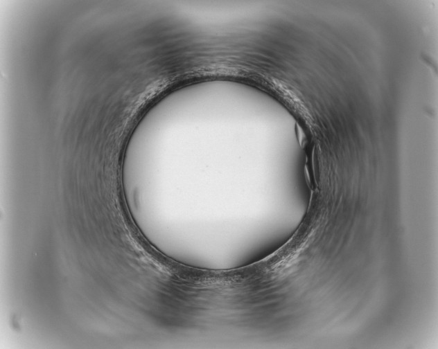 X0000094930625200712201053