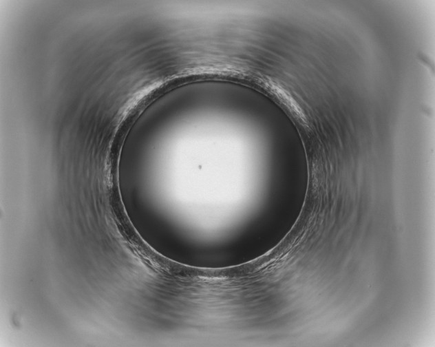 X0000094930628200712201053