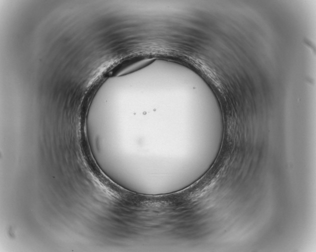 X0000094930629200712201053
