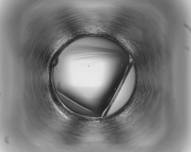 X0000094930630200712201053