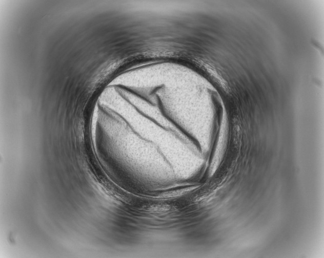 X0000094930631200712201053