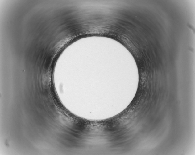 X0000094930632200712201053