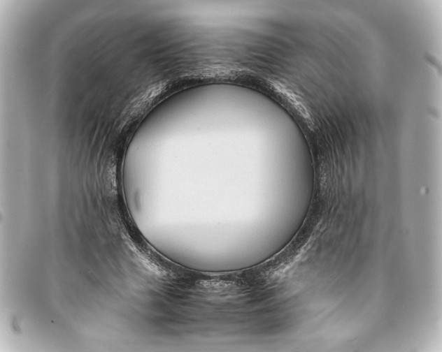 X0000094930633200712201053