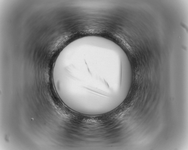 X0000094930635200712201053