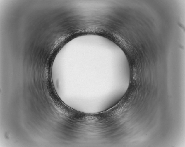 X0000094930636200712201053