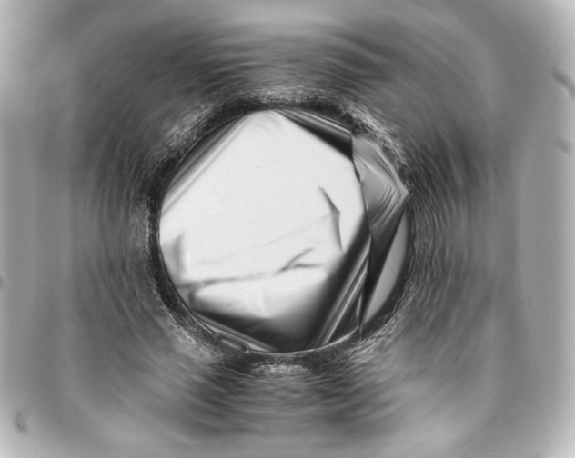 X0000094930637200712201053