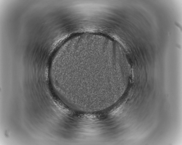 X0000094930640200712201053