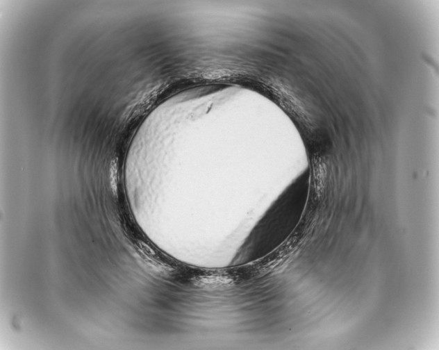 X0000094930644200712201053