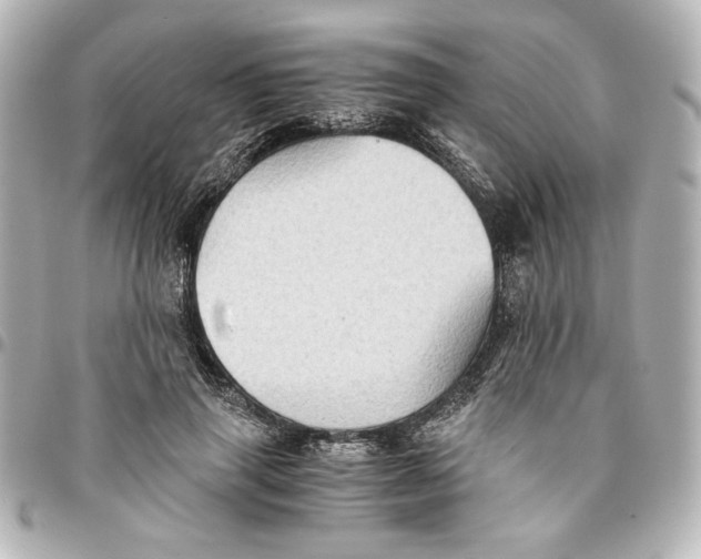 X0000094930645200712201053