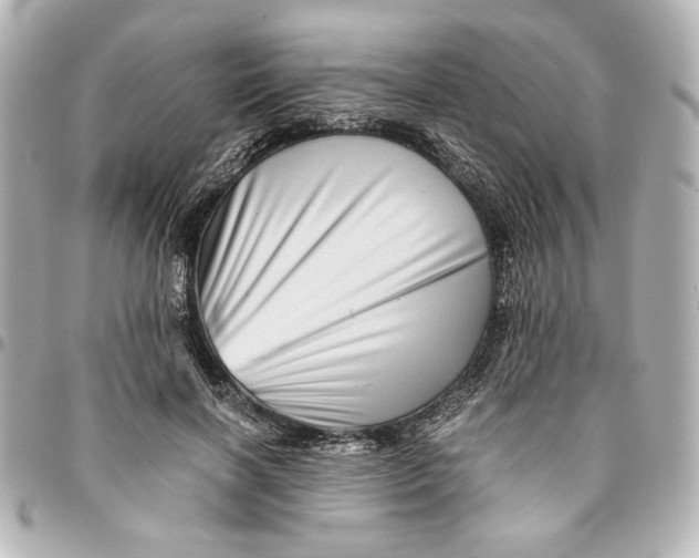 X0000094930646200712201053