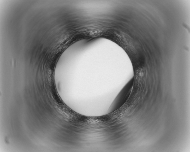 X0000094930650200712201054