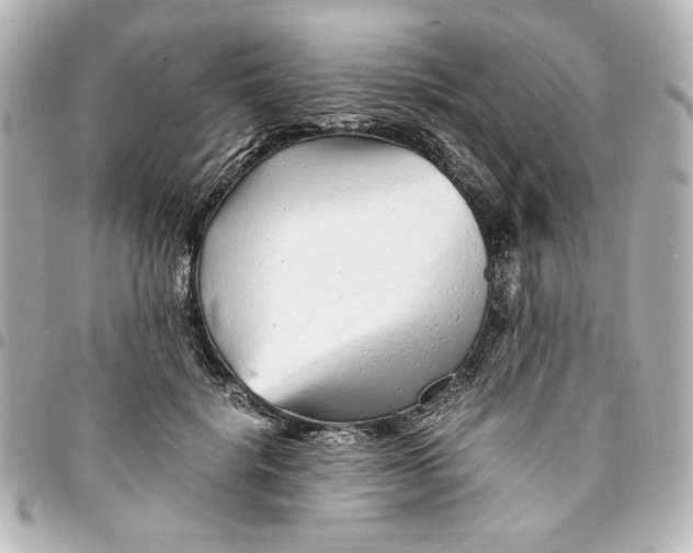 X0000094930652200712201054