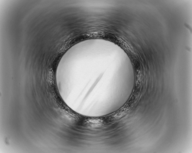 X0000094930659200712201054