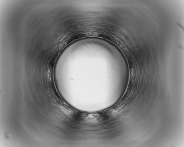 X0000094930663200712201054