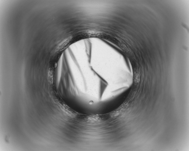 X0000094930666200712201054