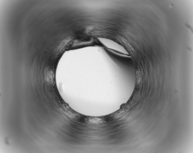 X0000094930669200712201054