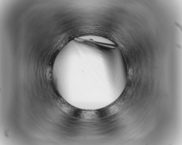 X0000094930671200712201054