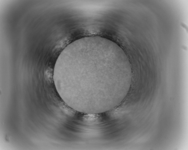 X0000094930672200712201054