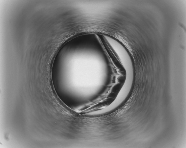 X0000094930673200712201053