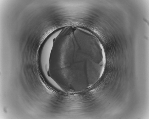 X0000094930674200712201053