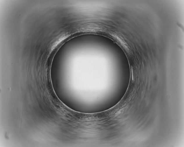 X0000094930675200712201053
