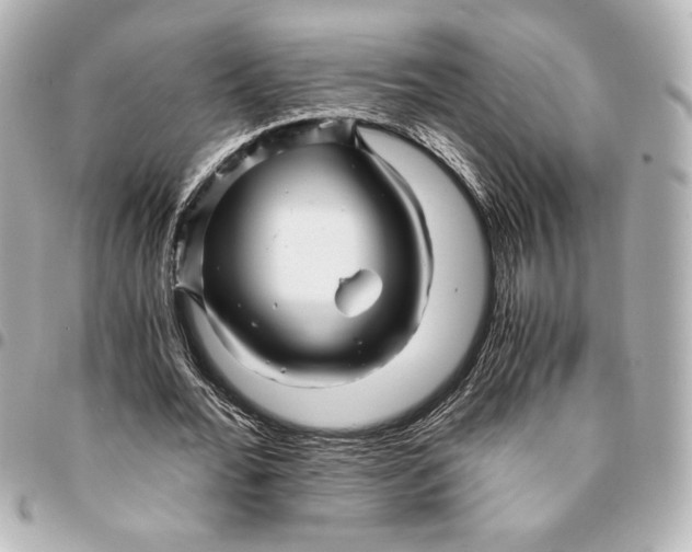 X0000094930676200712201053