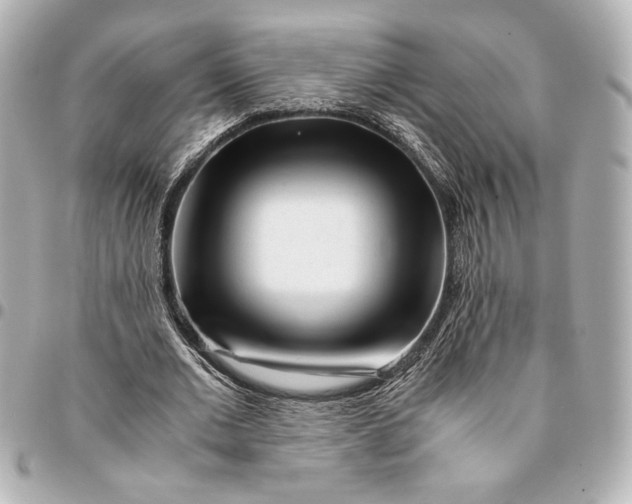 X0000094930677200712201053