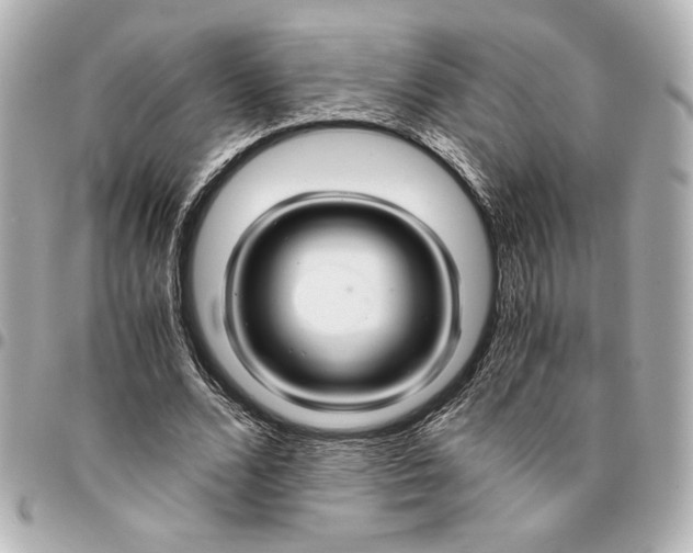 X0000094930680200712201053