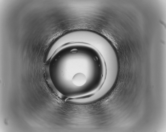 X0000094930681200712201053