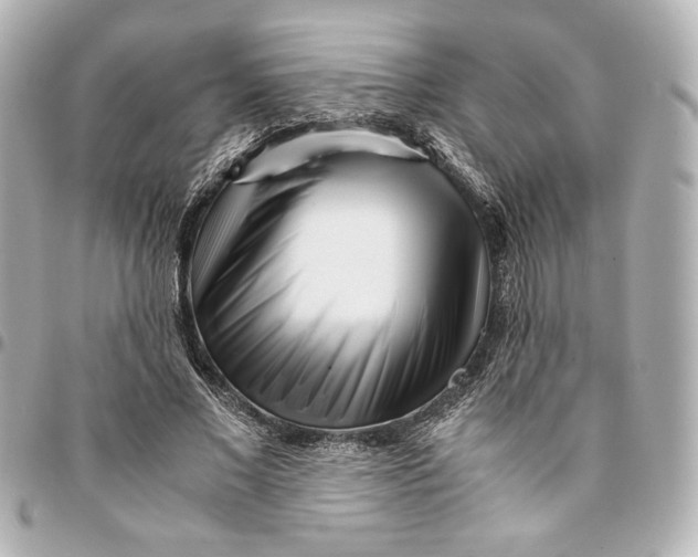 X0000094930685200712201053