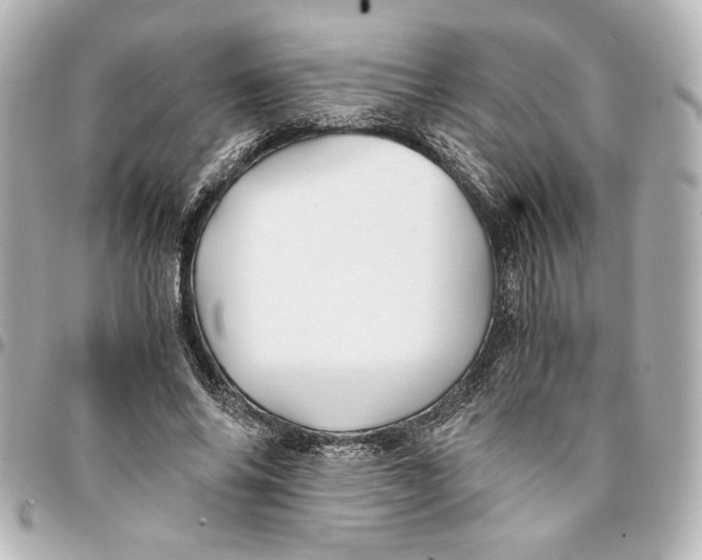 X0000094930686200712201053