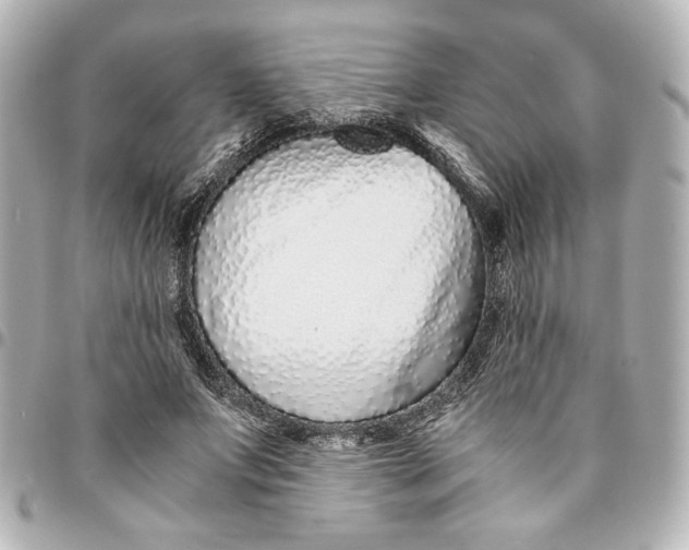 X0000094930687200712201053