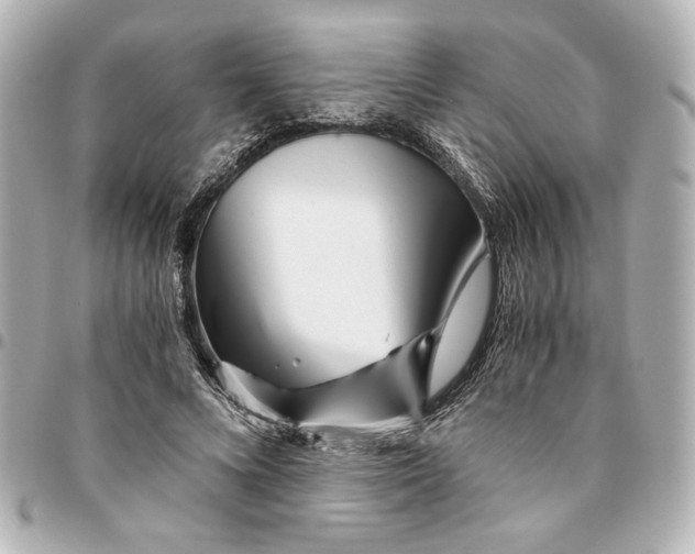 X0000094930688200712201053