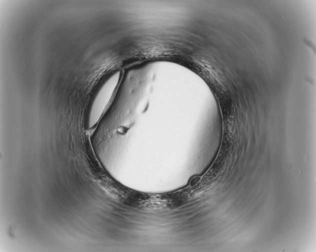 X0000094930691200712201053