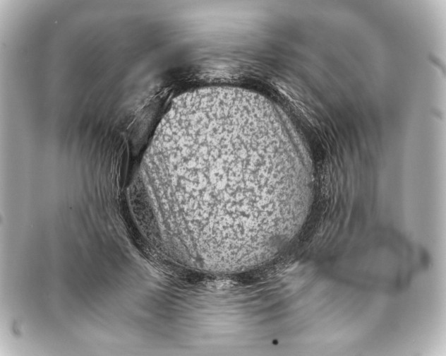 X0000094930695200712201053