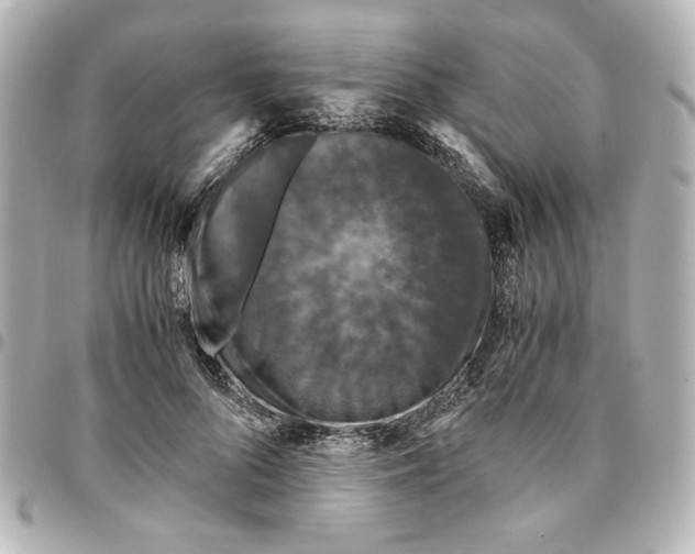 X0000094930696200712201053