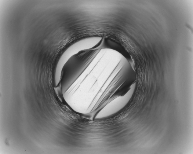 X0000094930700200712201053