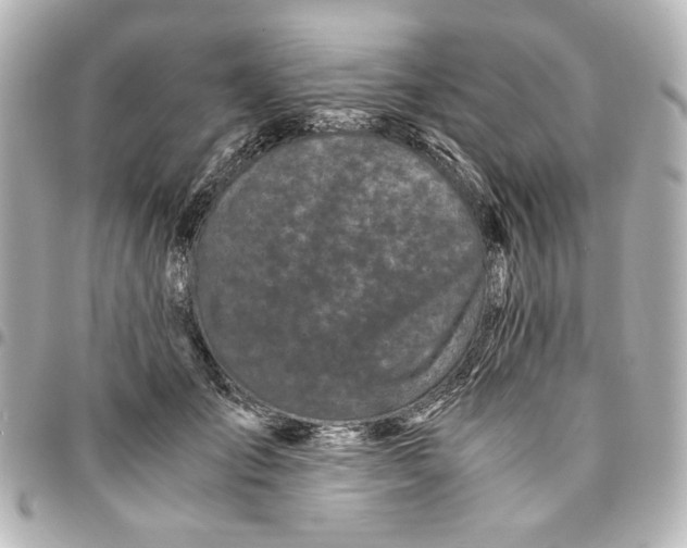X0000094930701200712201053