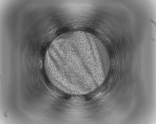 X0000094930703200712201053