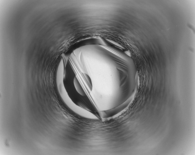 X0000094930704200712201053