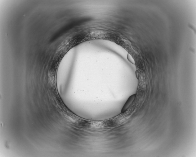 X0000094930705200712201053