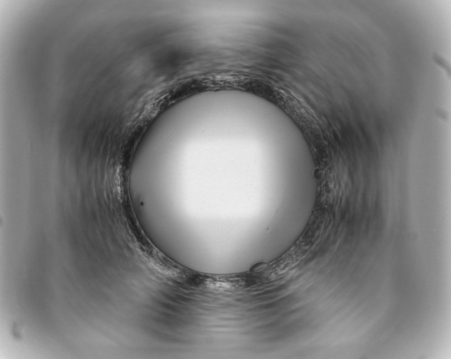 X0000094930706200712201053