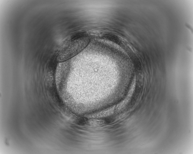 X0000094930707200712201053